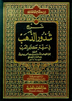شرح شذور الذهب في معرفة كلام العرب