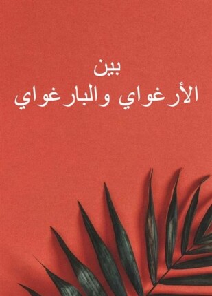 بين الأرغواي والبارغواي