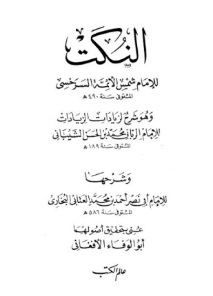النكت وهو شرح لزيادات الزيادات وشرحها