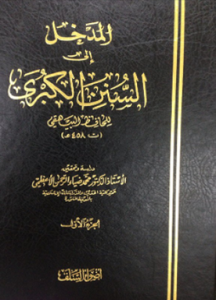 المدخل إلى السنن الكبرى