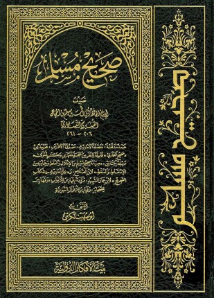 صحيح مسلم وصيانة صحيح مسلم وعلل أحاديث في كتاب الصحيح
