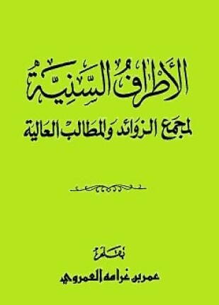 الأطراف السنية لمجمع الزوائد والمطالب العالية