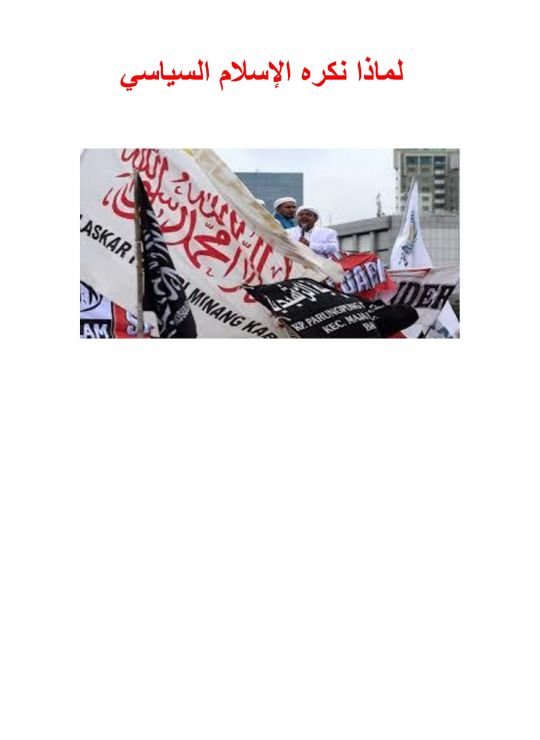 لماذا نكره الإسلام السياسي