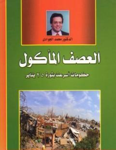 العصف المأكول - حكومات أسرعت بثورة 25 يناير