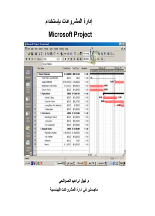 الإدارة باستخدام إم إس بروجكت