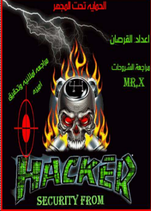 الحماية تحت المجهر