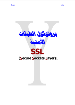 بروتوكول الطبقات الامنبة