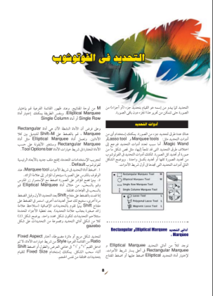 التحديد فى الفوتوشوب