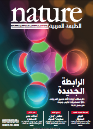 الرابطة الجديدة