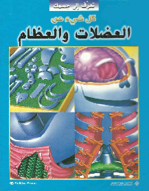 كل شيء عن العضلات والعظام