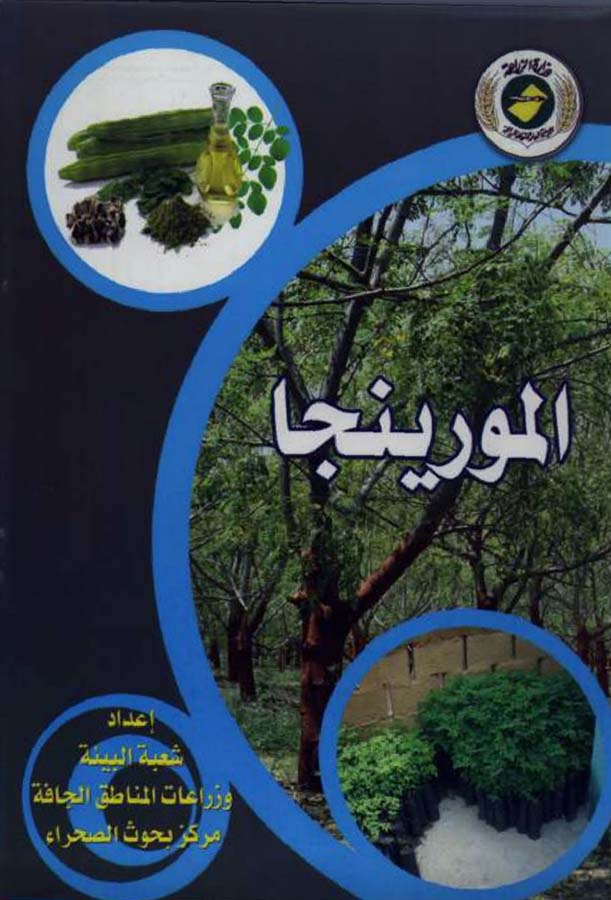 المورينجا
