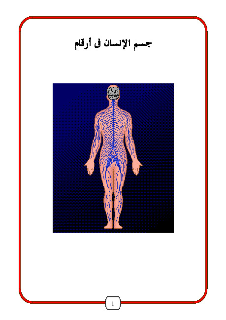 جسم الإنسان في أرقام