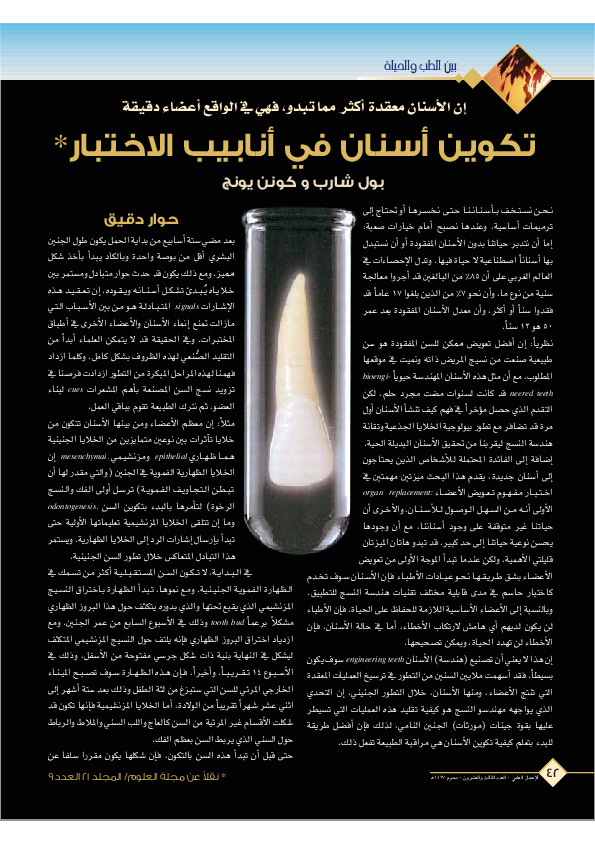 تكوين أسنان فى أنابيب الاختبار