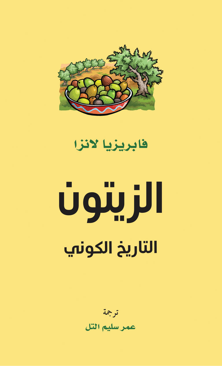 الزيتون التاريخ الكوني
