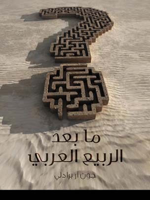 ما بعد الربيع العربي: كيف اختطف الإسلاميون ثورات الشرق الأوسط