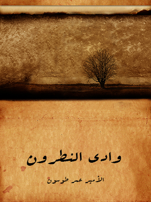 وادي النطرون: ورُهبانه وأديرته ومختصر تاريخ البطاركة